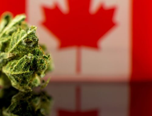 Canadian Cannabis Panel Looks Back And Forward To 2025