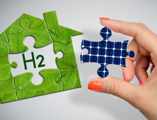 From Fragile To Fierce: How Hydrogen Bonds Transform Solar Energy