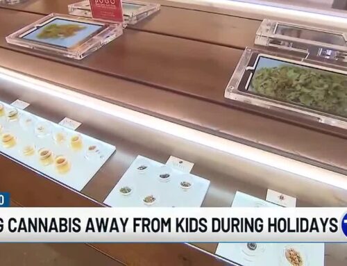 Officials emphasize importance of keeping cannabis away from kids during the holidays