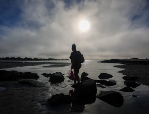 The behind-the-scenes story of the Florida state park scandal