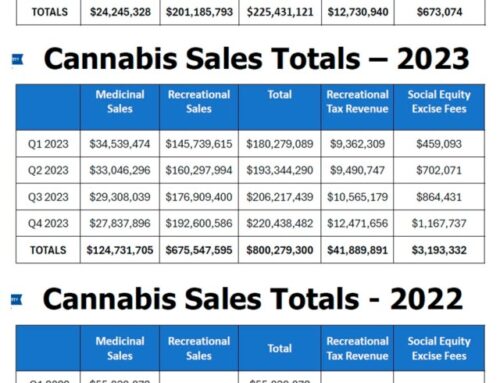 Two cannabis businesses get approval from Township Council