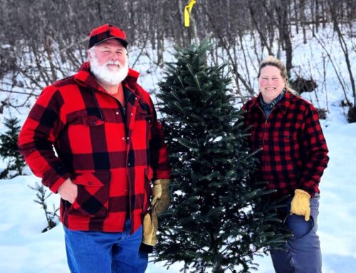 Flooded Fields, Dying Trees: Vermont’s Christmas Tree Farms Grapple with Changing Climate