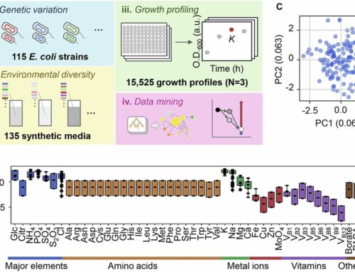 Study finds genetic and environmental factors neutralize bacterial growth