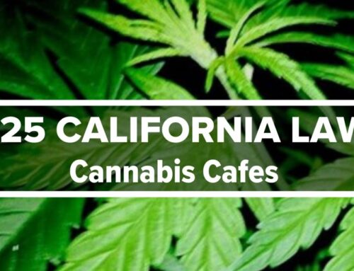 2025 New California Laws | Cannabis Cafes with on-site cannabis consumption, entertainment