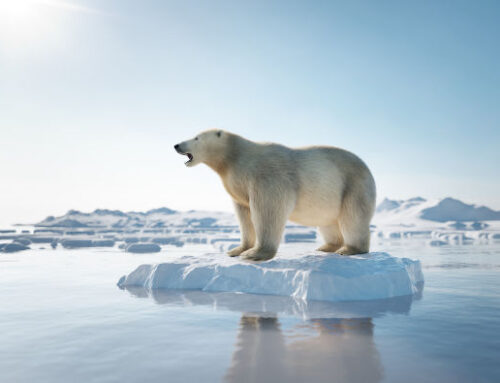 Environment: Warming, thawing Arctic presents problems for everyone