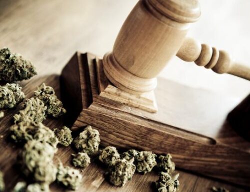 Alabama appeals court rules cannabis commission can revoke awarded…