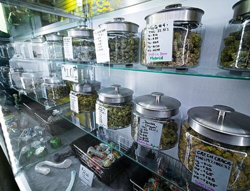 Medical cannabis laws linked to increase in cannabis use disorders