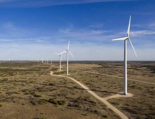 The Downsides of the Wind Energy Boom