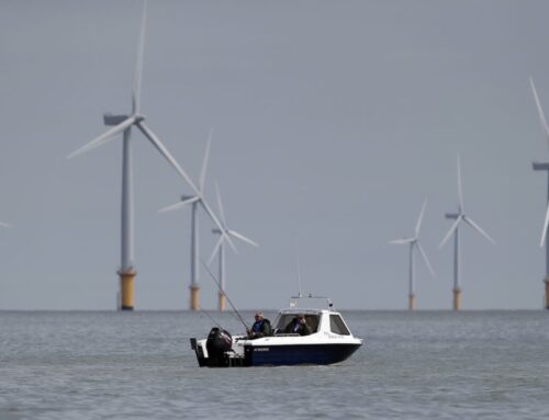 Concerns swirl over impact of offshore wind farms on fishing industry