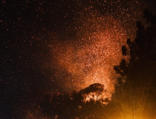 Santa Ana Winds Ease, but Windstorm’s Return Could Accelerate Fires