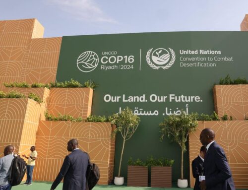 Riyadh’s COP16: A Milestone In The Fight Against Drought, Experts Say