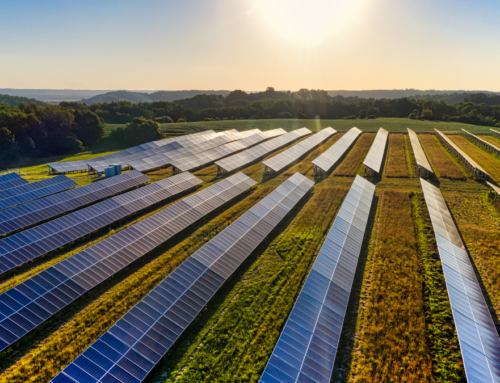 FMPA And Origis Energy Celebrate Completion Of Rice Creek Solar Energy Center: Powering 12 Florida Cities With Clean Energy