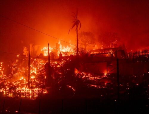 Fire-Whipping Los Angeles Winds Are at the Heart of a Climate Riddle