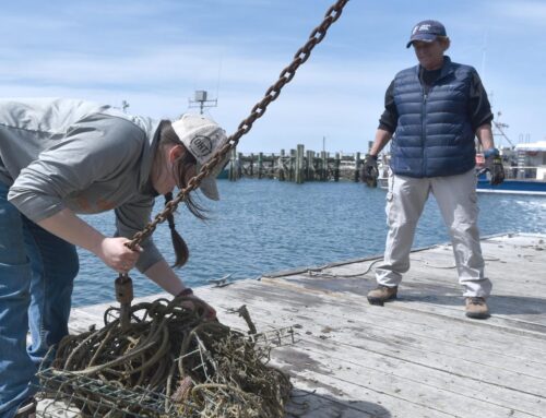 When abandoned fishing nets, traps become ‘ghost gear’: ‘No place in our environment’