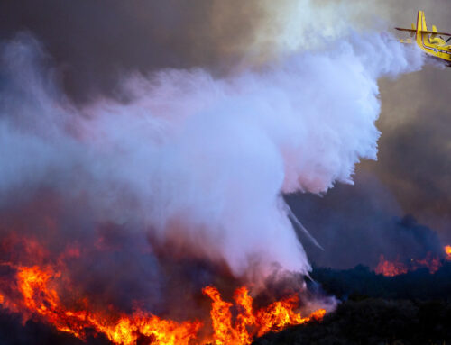 Investigators comb a scorched slope to solve a mystery: How did the Palisades Fire start?