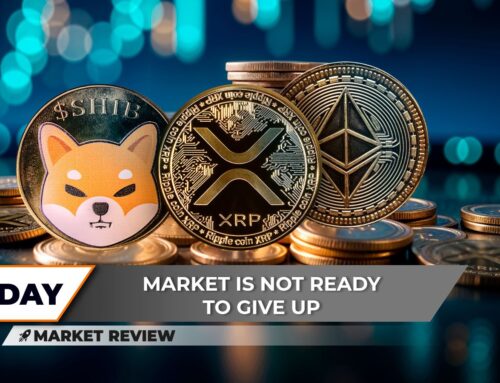 Shiba Inu (SHIB) Can Win This Market Correction, XRP Breakout Back in Game, Ethereum (ETH) Below $3,000: What to Expect?