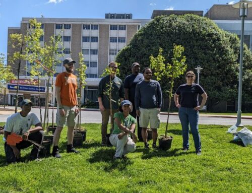 Maryland DNR, Environment Celebrate Milestone Of 1 Million Trees Planted