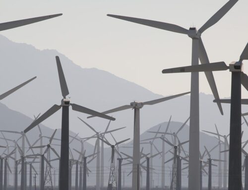 As Trump vows to cut subsidies for wind power, how many wind farms are in California?