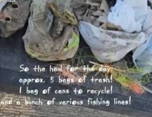 Local man and dog help the environment by picking up trash