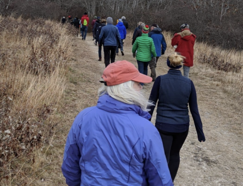 Squam Farm winter walk Saturday