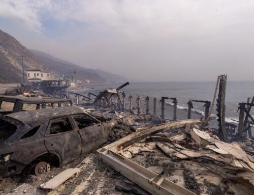 Intensifying climate whiplash set the stage for devastating California fires