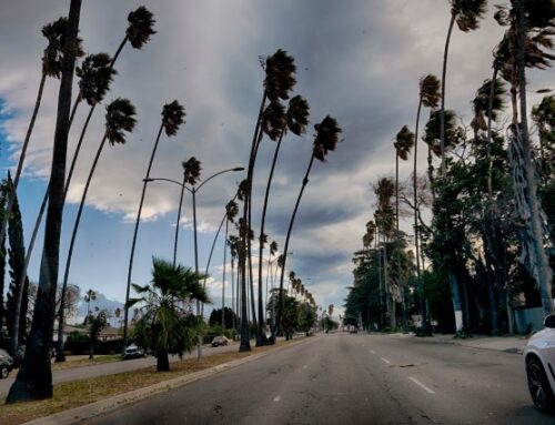 L.A. officials announce preparedness measures ahead of ‘most significant windstorm in more than a decade’