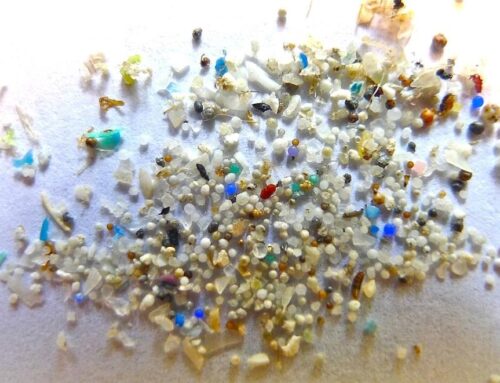 Tackling microplastic pollution with a cross-society approach