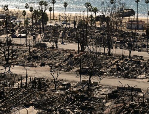 State Farm to offer renewals to policyholders impacted by L.A. County wildfires