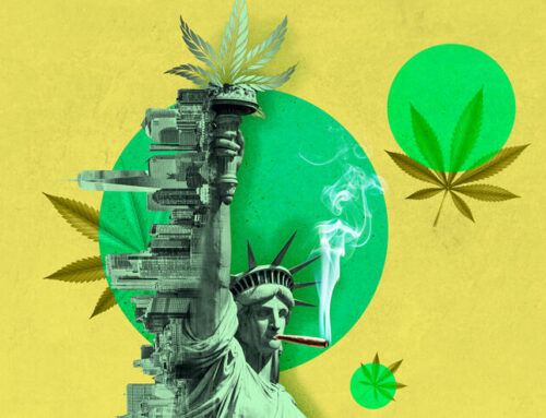 Discover Silly Nice Cannabis at Dispensaries Across New York – Order Online Now