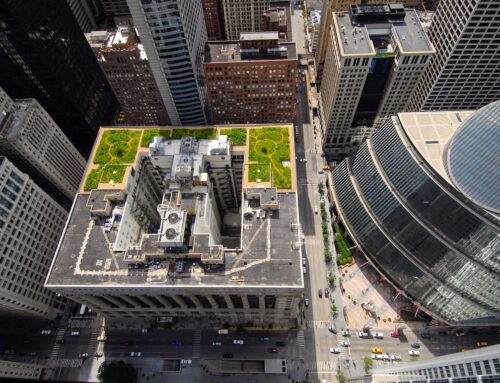 All Chicago City Buildings Now Run on Renewable Energy