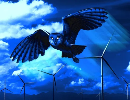 These nearly silent wind turbines have owl-inspired ‘feathers’