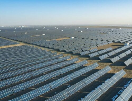 China replaces fixed pricing with market-driven rates for renewable energy | NEWS