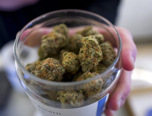 Oregon has too much marijuana, OLCC report says