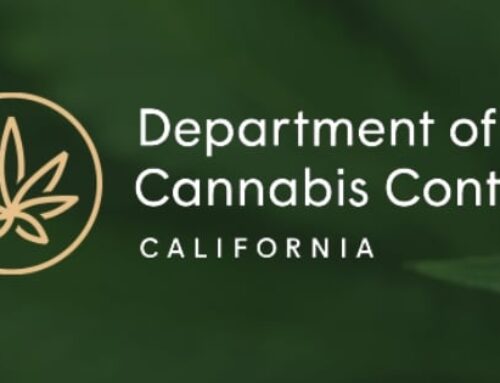 California’s Unified Cannabis Enforcement Task Force Seizes Over $254 Million in Illegal Cannabis in 2024