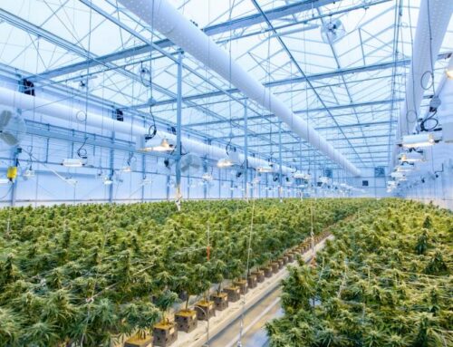 Cannabis Cultivation, Energy Use And Emissions