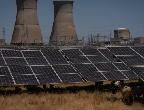 Wind and Solar Firms Have a Pitch for Trump: ‘You’re Going to Need Us’