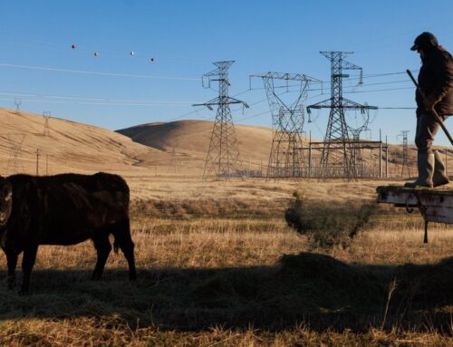 WA ranchers turn to new crop: Solar power