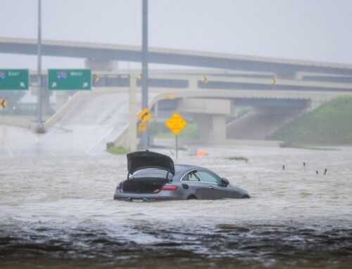 Climate Inaction Could Cost 1/3 Of Global GDP By 2100, BCG Warns