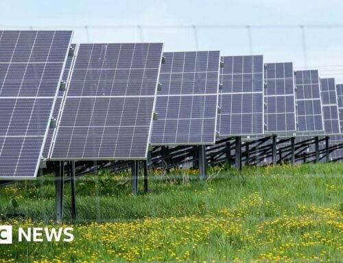 New 200-acre Congresbury solar farm ‘could power 14,500 homes’