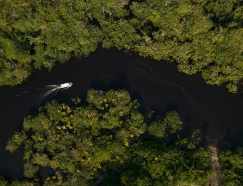 Brazil Has a $125 Billion Plan to Make COP30 a Rare Climate Success