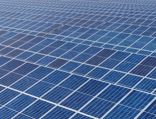 Alight Buys Danish Solar Park Amid Strain in Nordic Green Sector