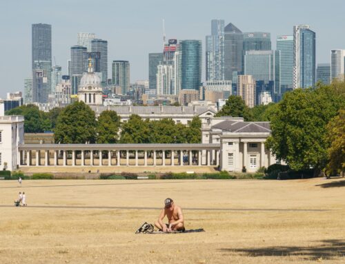 Flood and drought exposure ‘ramping up for world’s most populated cities’