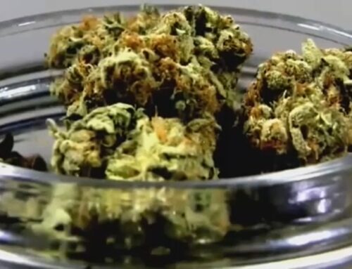 NC Poison Control sees increase in children being exposed to cannabis