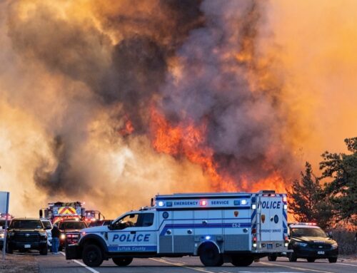 Crews continue battling massive, wind-whipped brush fires in Suffolk County; now 80% contained