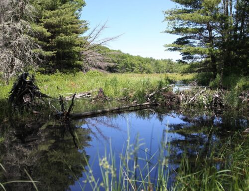 Trump administration environmental moves continue to worry Catholic advocates