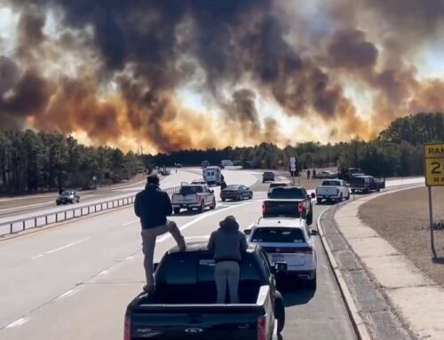 Brush fire in Long Island that scorched 400 acres is 22% contained