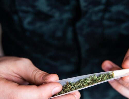 ACC: Cannabis Use Linked to Increased Risk for MI in People Aged 50 Years and Younger