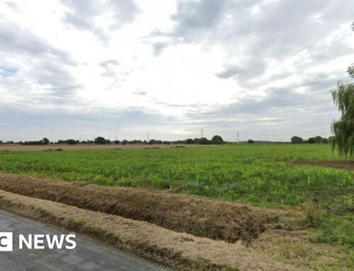 Plan for solar farm on green belt near Selby set for approval