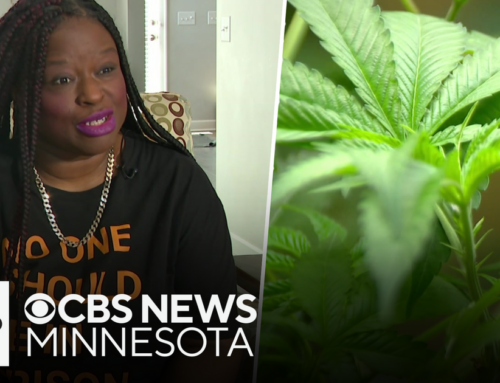 New event looks to connect women in cannabis business