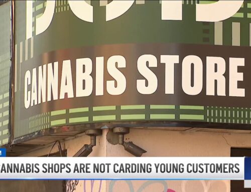 I-Team: Some cannabis shops are not carding young customers